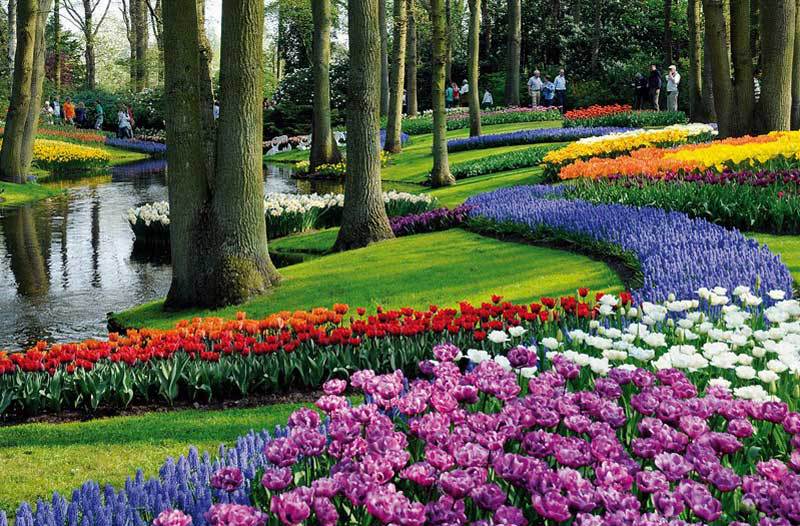 Keukenhof